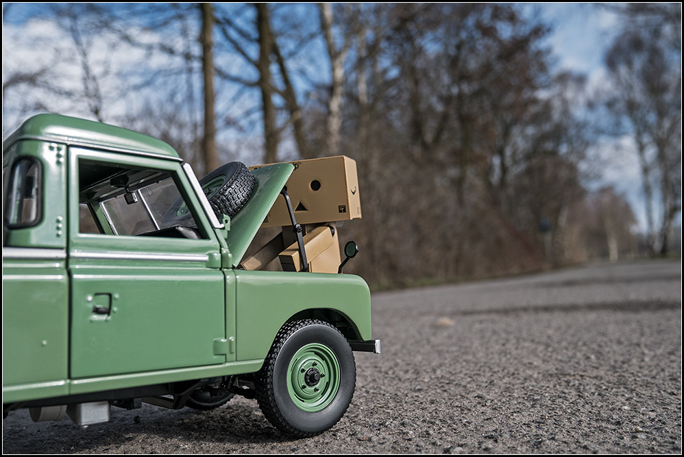 danbo03.jpg