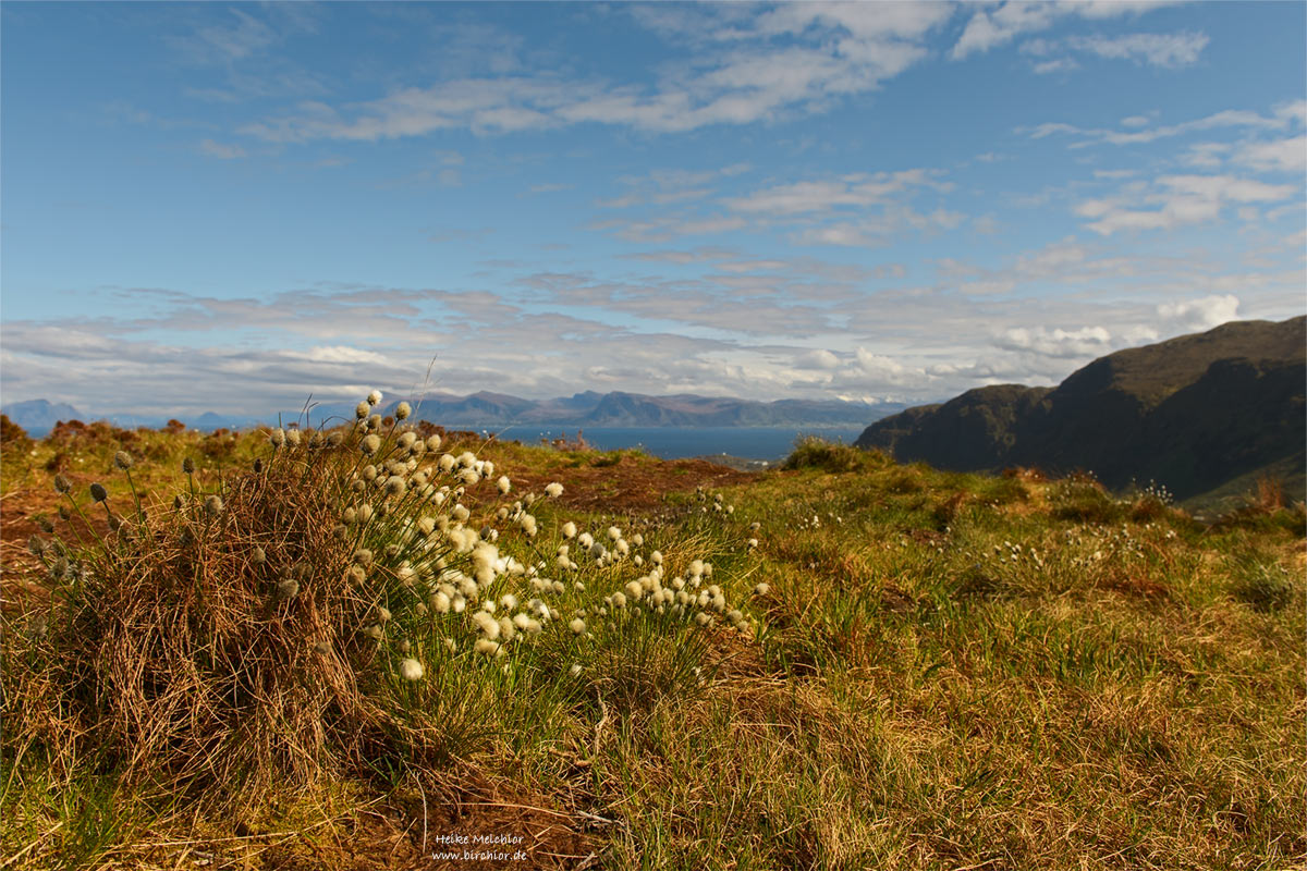 20140512_0009_PS_1200Px.jpg