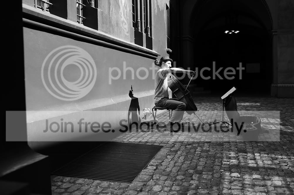 DSC_5511.jpg
