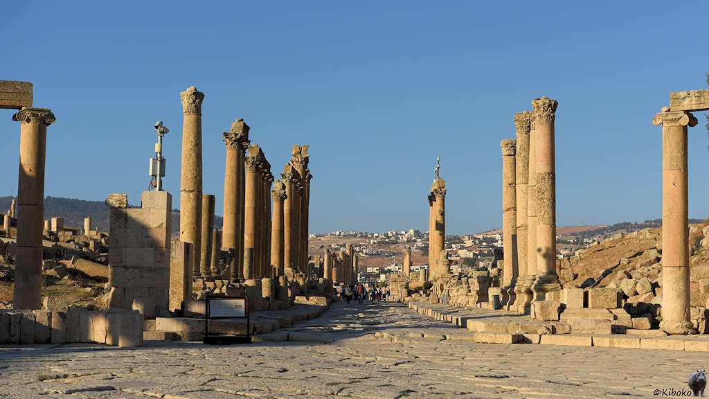 Blick in den Cardo Maximus