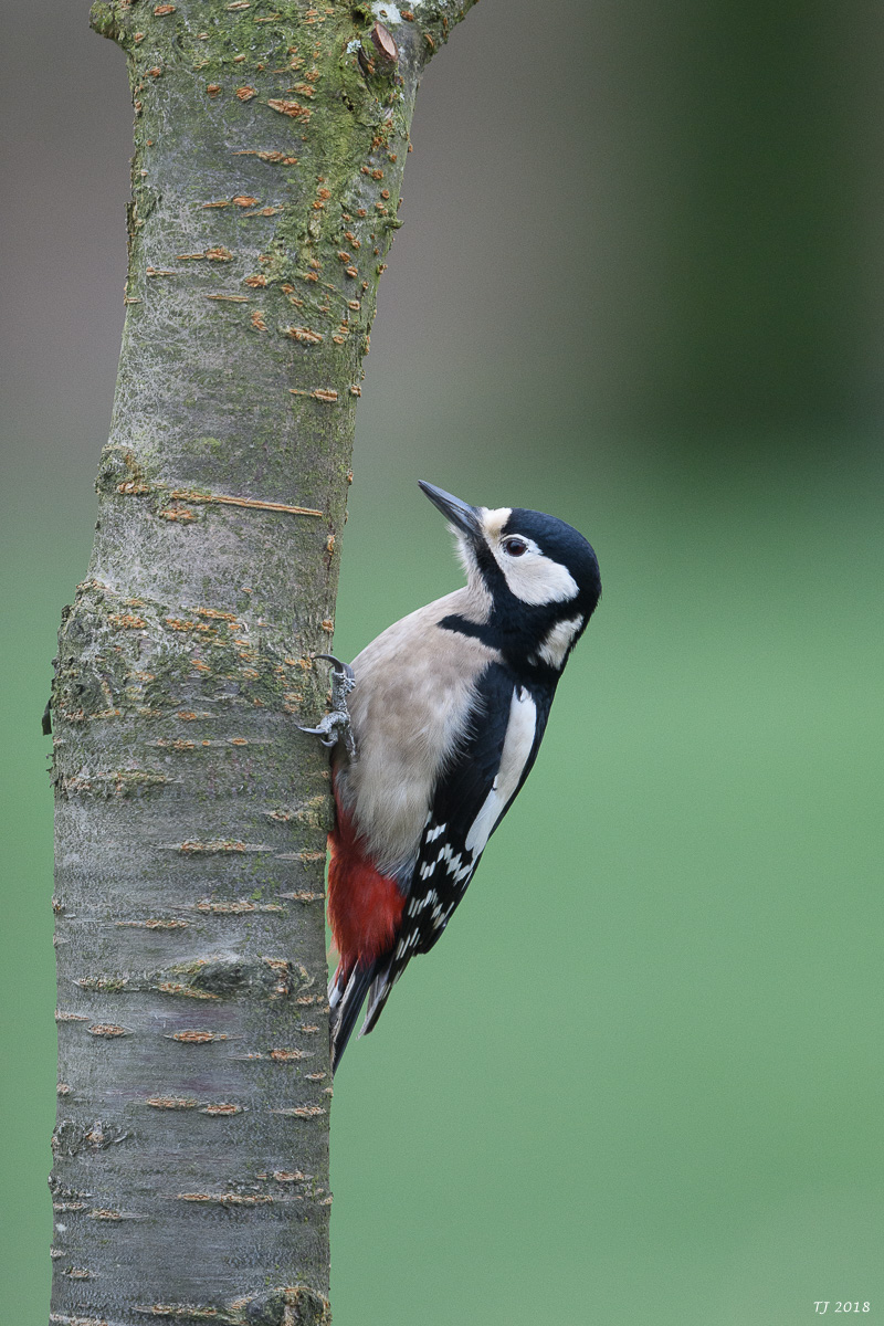 DSC_3259.jpg