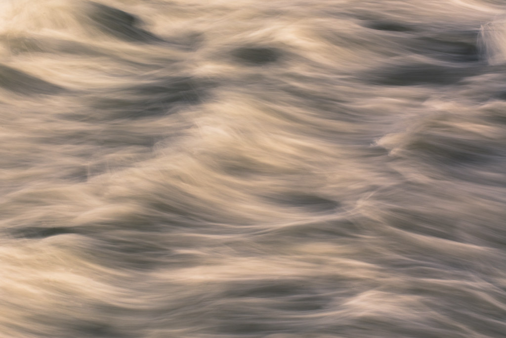 38395889824_a35a74c45d_b.jpg