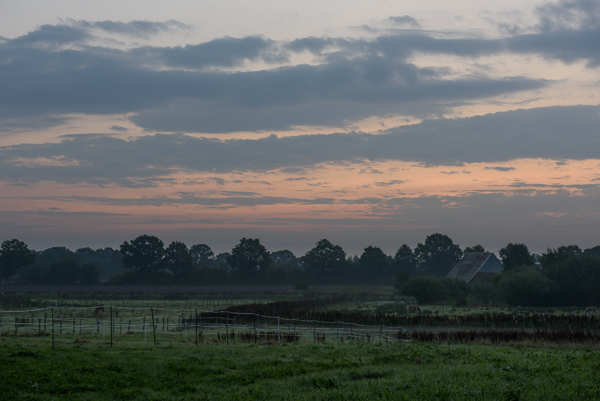 DSC_5779.jpg