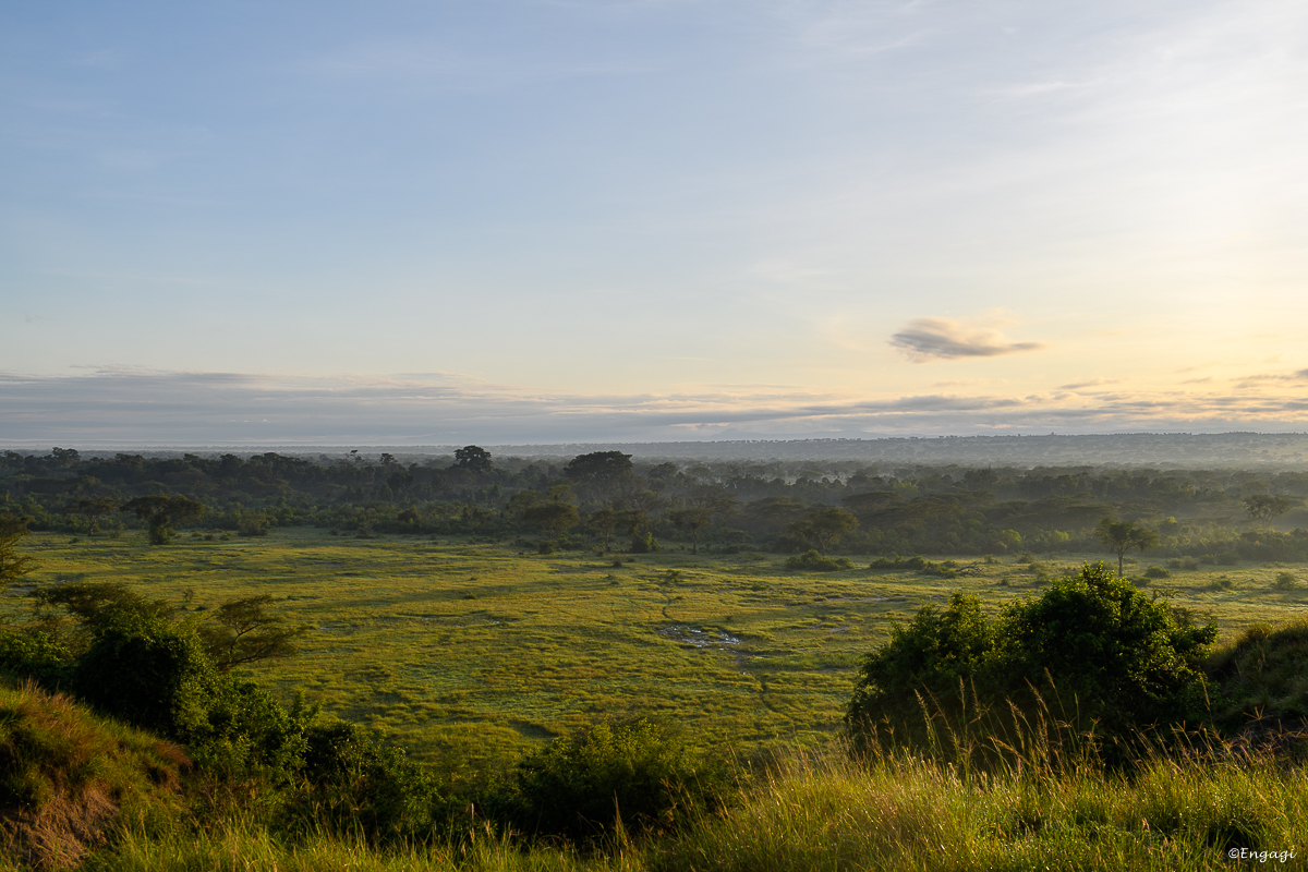 Uganda%201697.jpg
