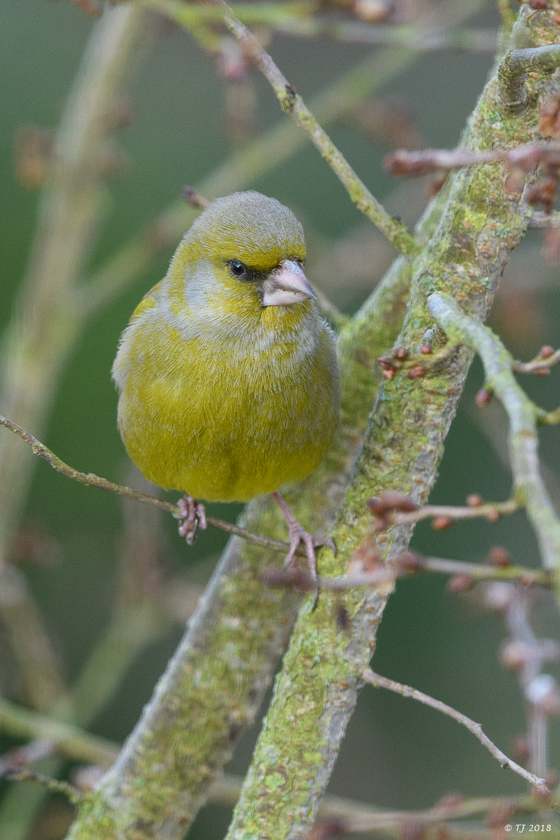 DSC_3476.jpg