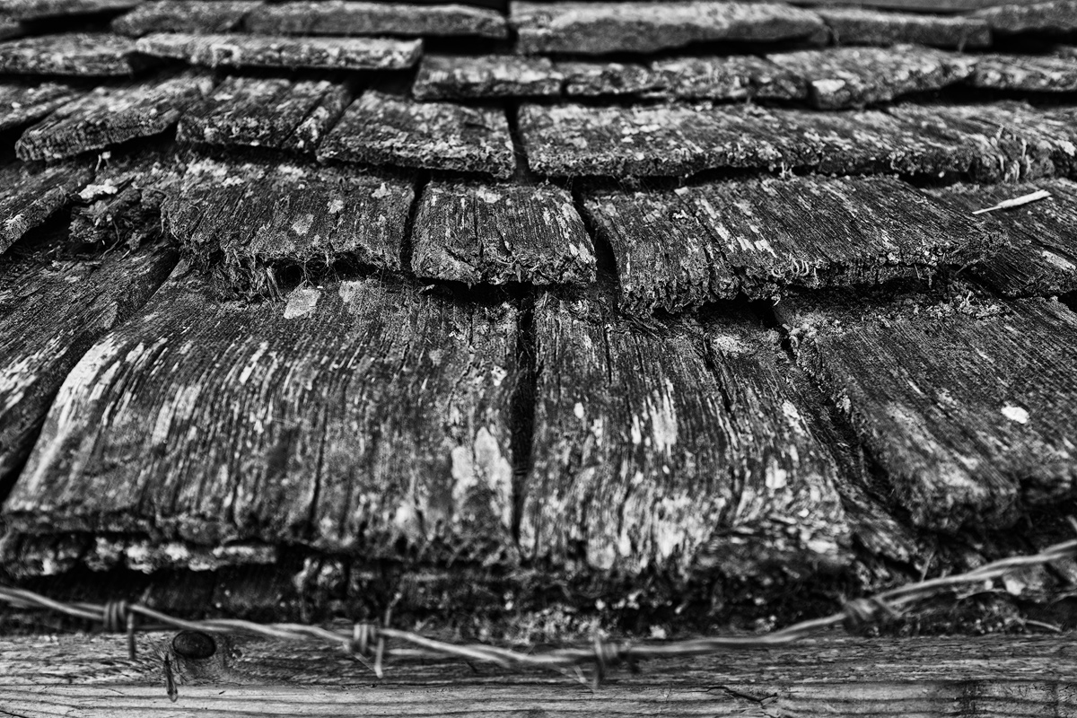 DSCF7641sw-2-web.jpg