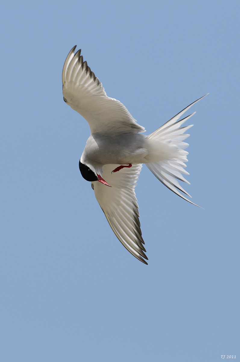 DSC_6489.jpg