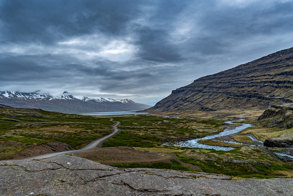 DSC_1871-XL.jpg