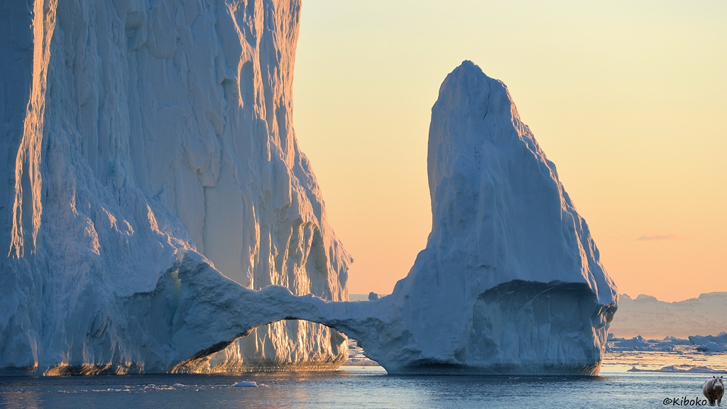 s497_Kangia_Isfjord_Icebridge_8994.jpg