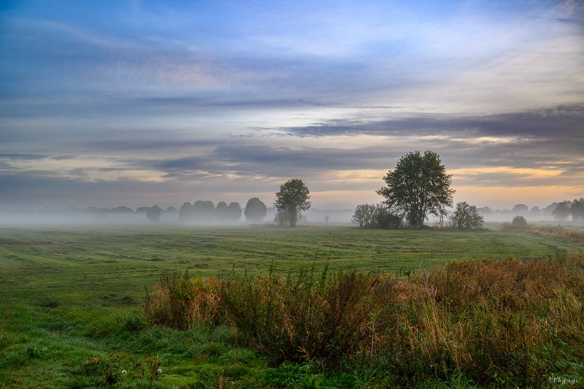 DSC_3514.jpg