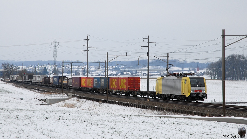 Das Bild zeigt eine silberne Elektrolokomotive mit gelben Führerständen und schwarz-silberner Front for einem Containerzug in einer winterlichen Landschaft.