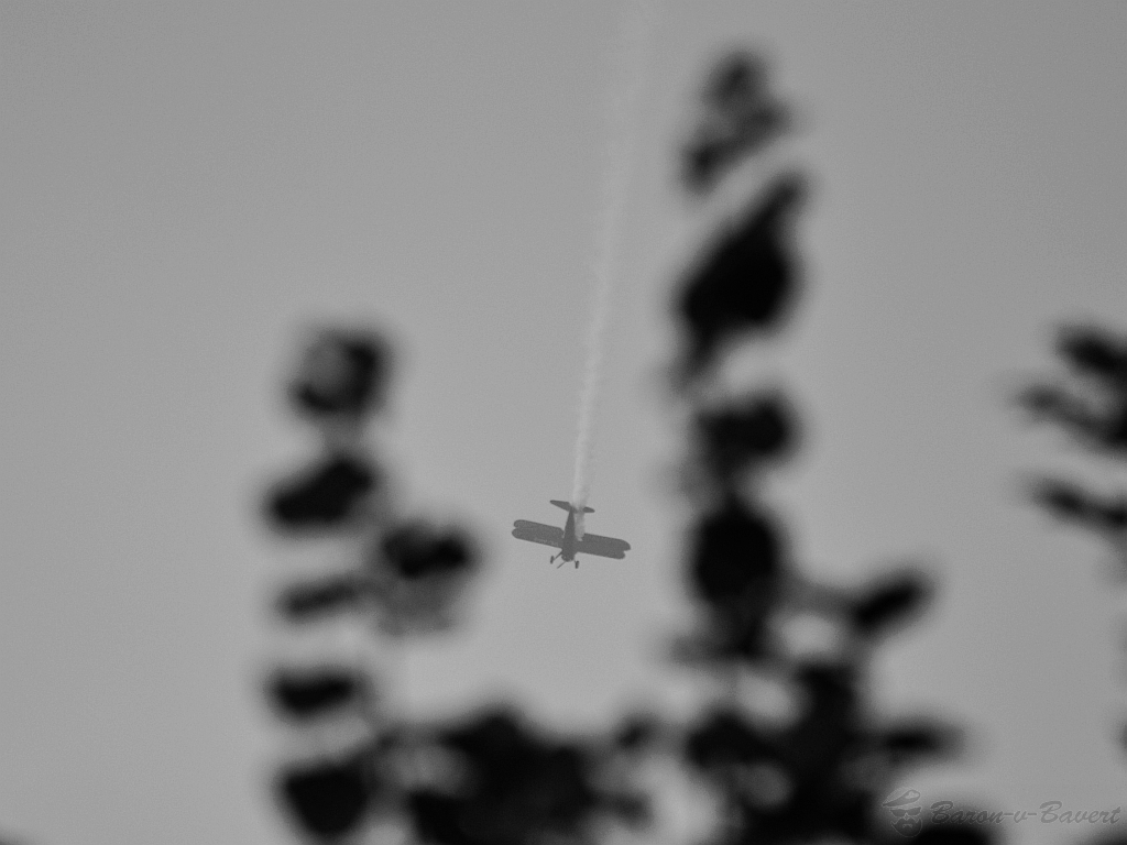 14994277180_594f284228_b.jpg