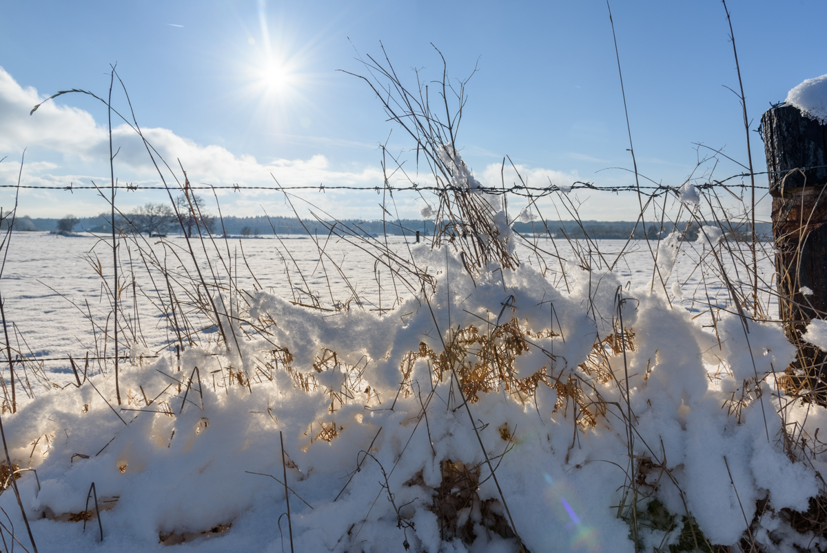 DSC_4667-HDR.jpg