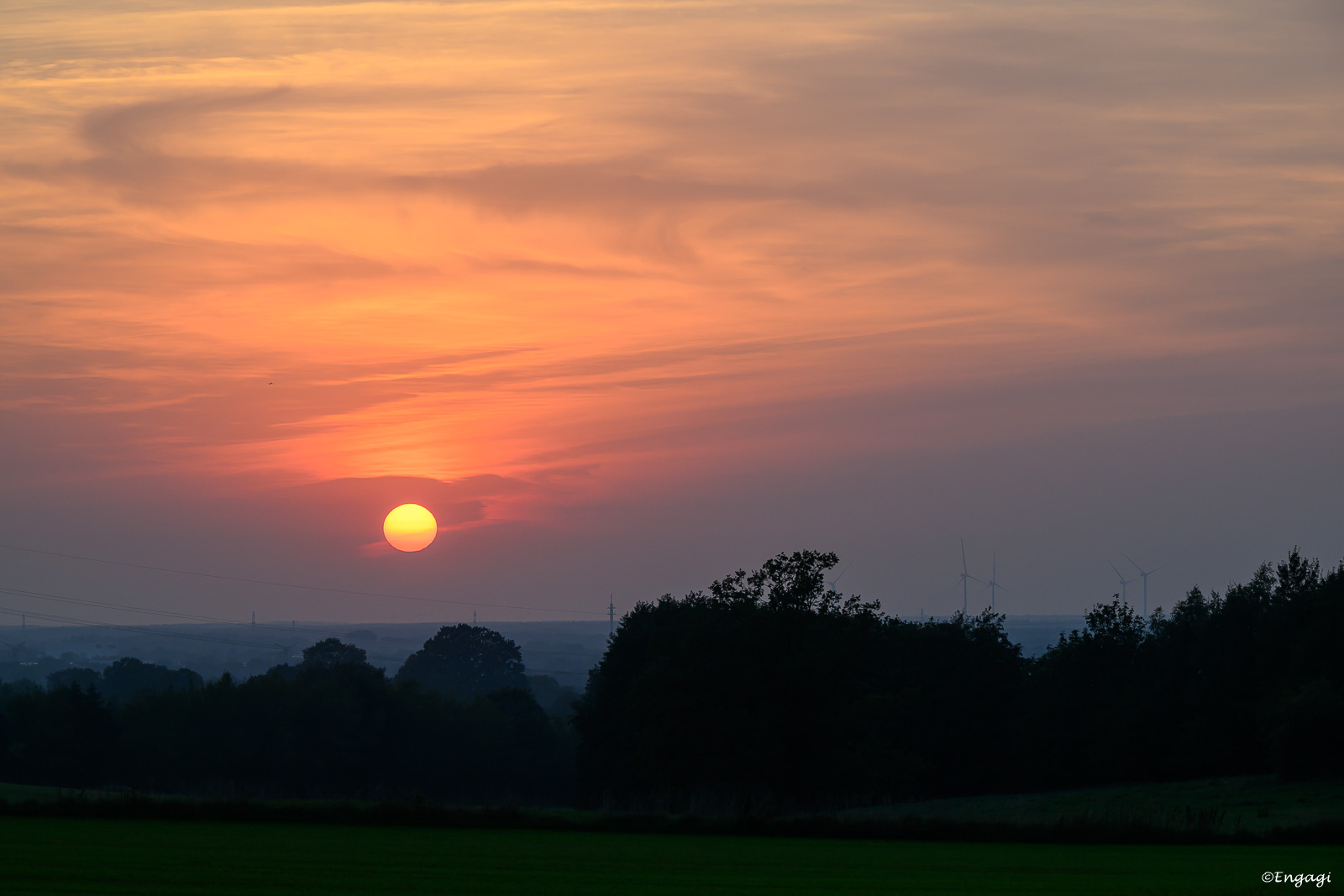 DSC_0568.jpg