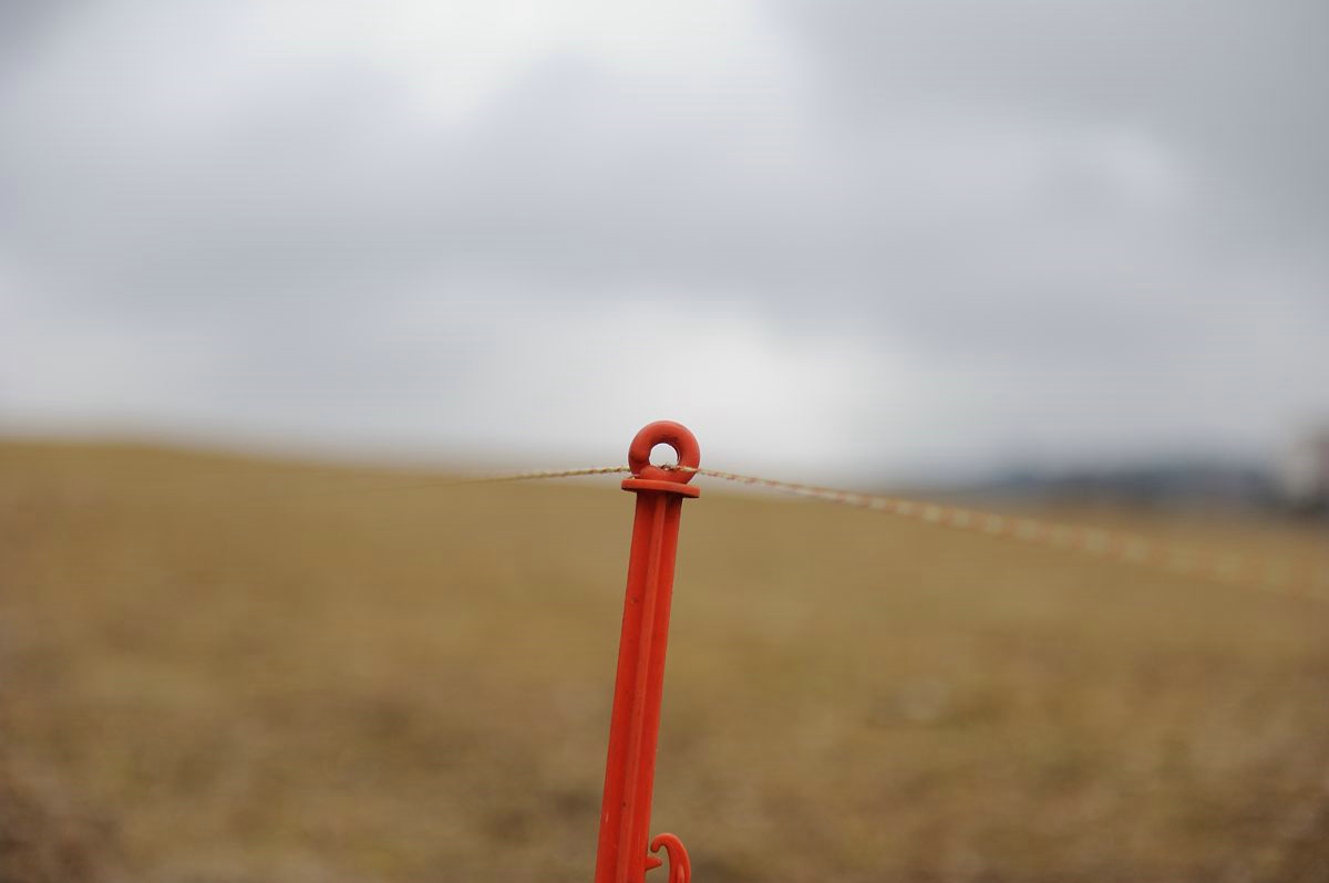 C_DSC_0833.jpg