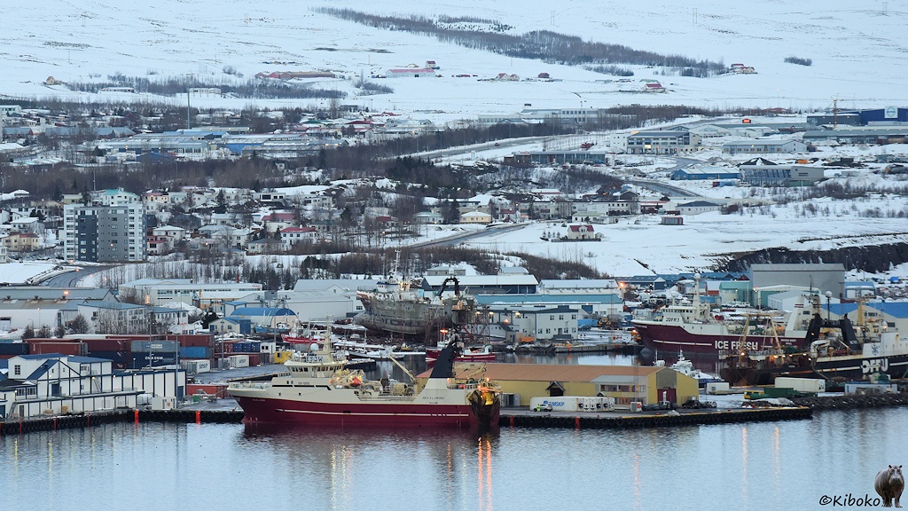 Hafenanlagen mit Fischtrawlern vor einer Ortschaft.