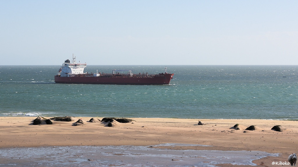 Das Bild zeigt einen Frachtschiff mit rotem Rumpf und weißen Aufbauten auf einem grün-bläulichen Meer. Im Vordergrund ist eine Sandbank.