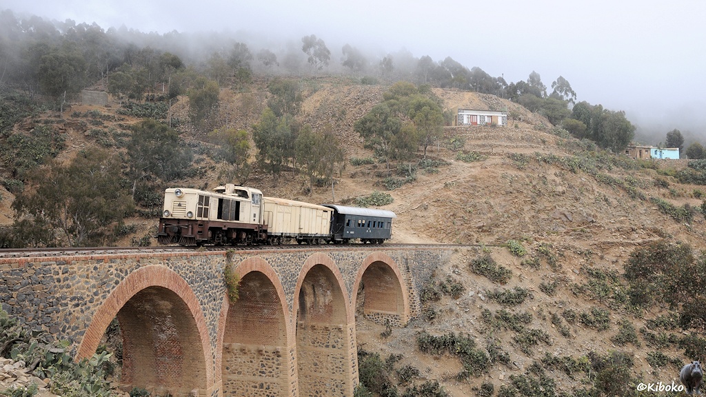 http://foto-kiboko.de/reise/eritrea2009/bilder/8/s848_Shegereni-Asmara_27D_2375a.jpg
