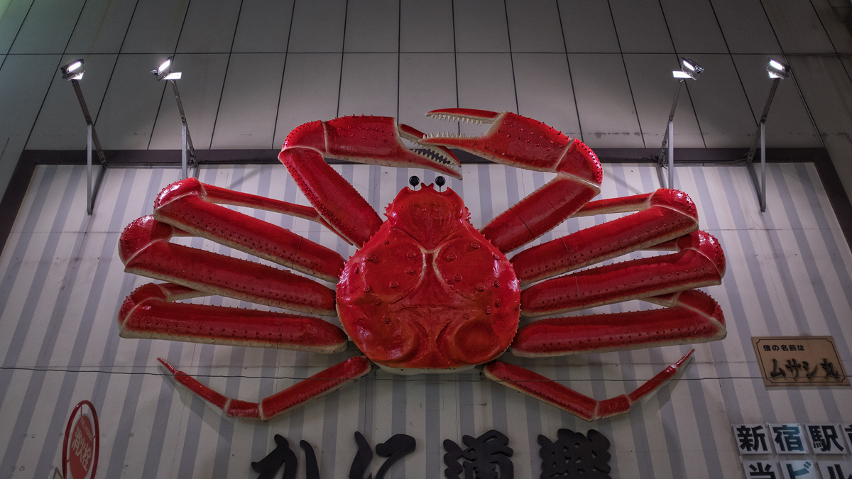 DSCF6008-web.jpg
