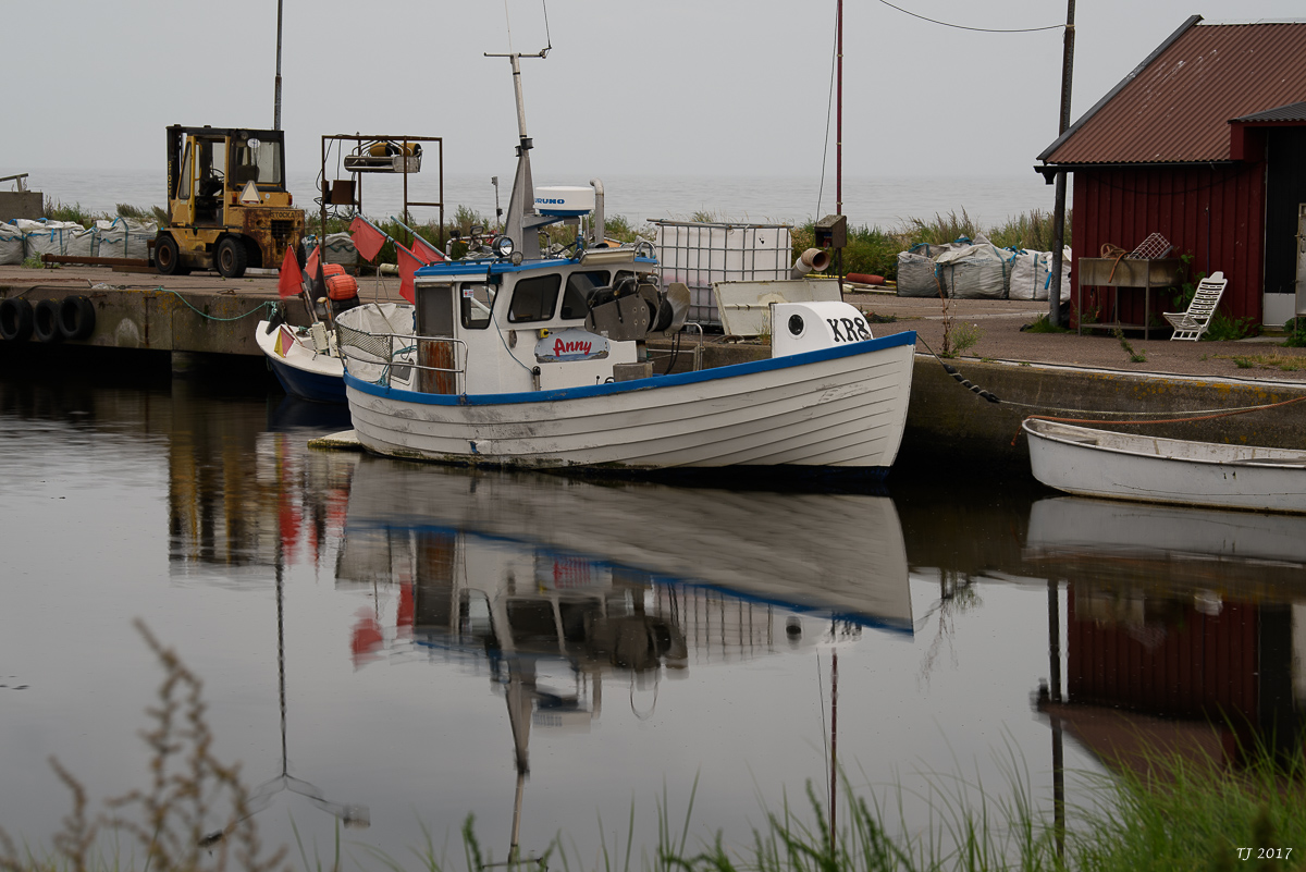 DSC_7713.jpg