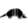 www.blogografie.de