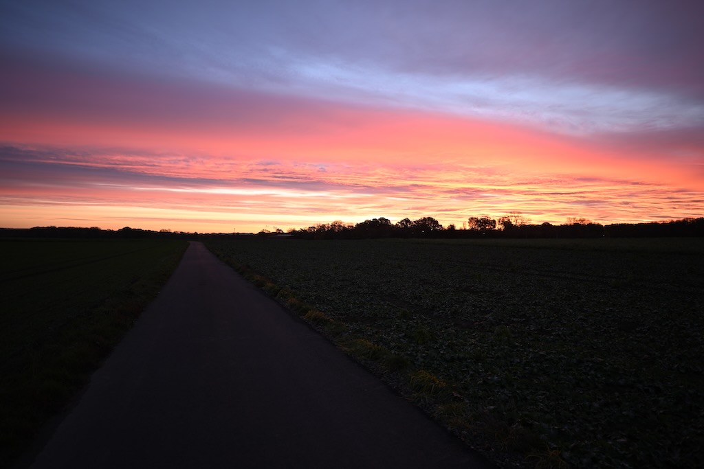 DSC_8736-XL.jpg