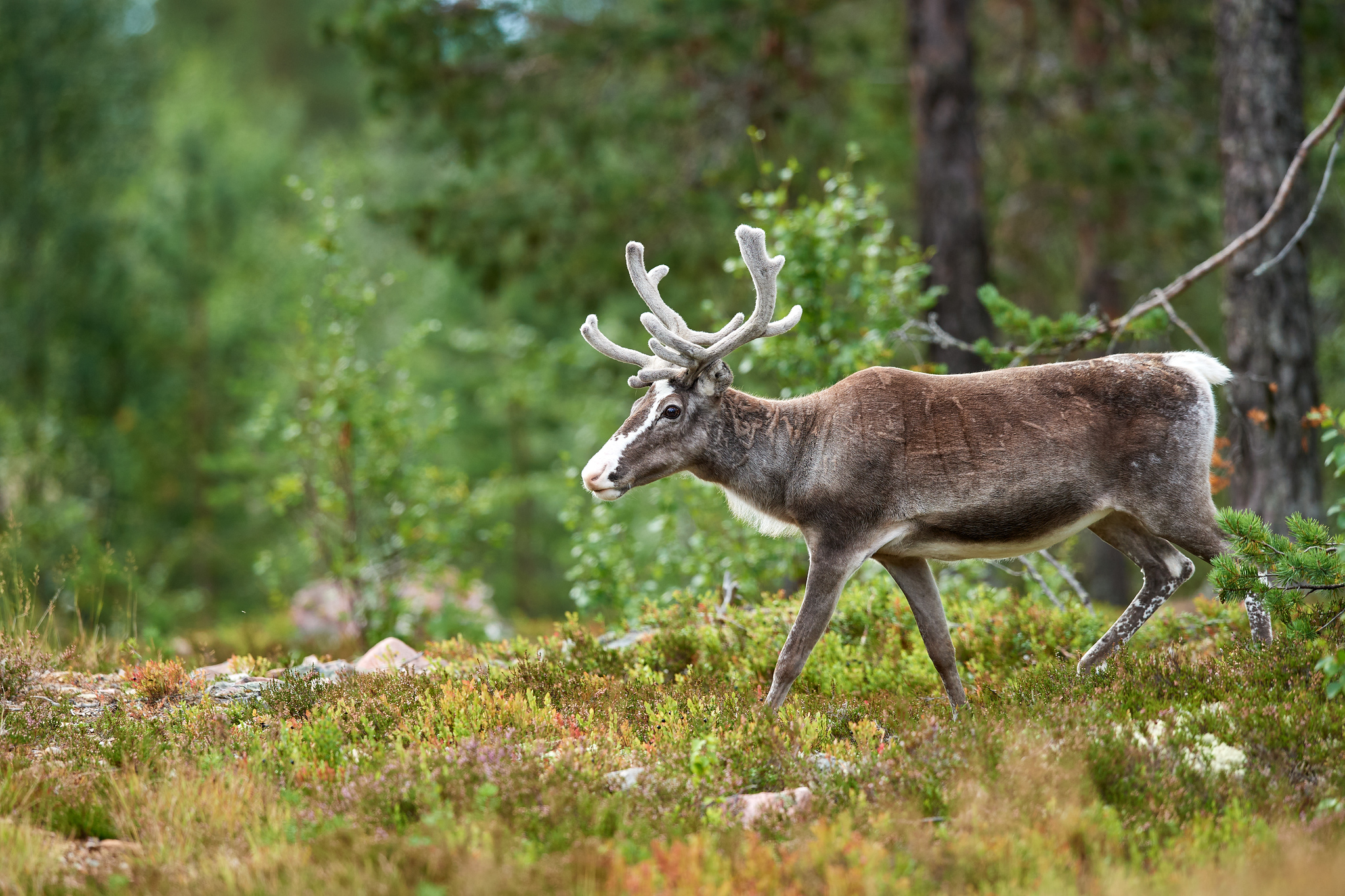 DSC_9887-X4.jpg