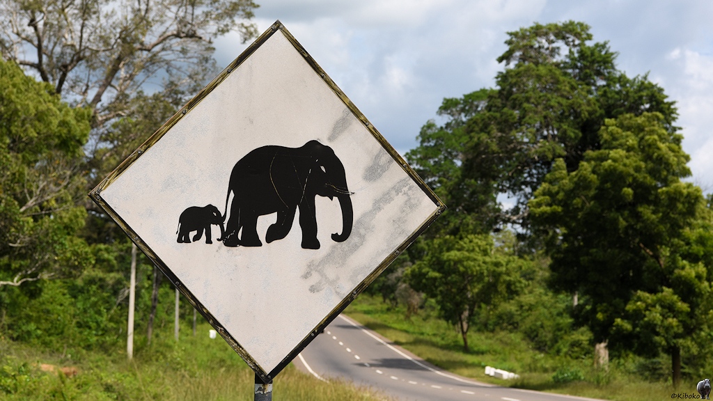 Das Bild zeigt ein viereckiges Schild mit schwarzem Rand das auf der Spitze steht mit dünnem schwarzem Rand. Darauf sind ein großer und ein kleiner Elefant auf hellem, verblichem Gund. Im Hintergrund ist unscharf eine Straße und Bäume.