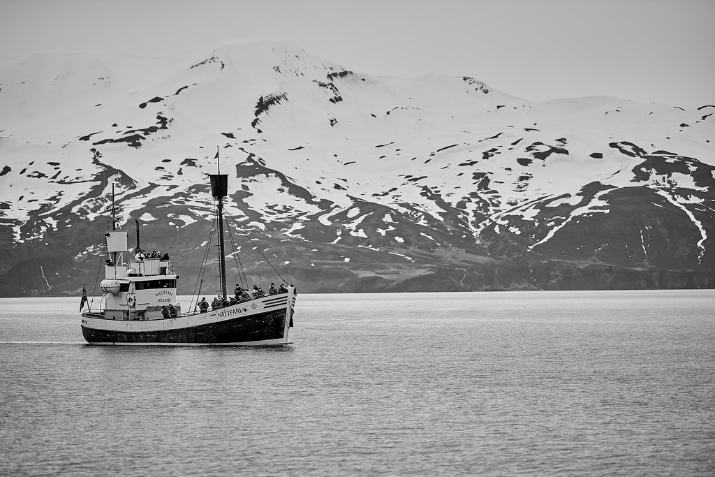DSC_9207-XL.jpg