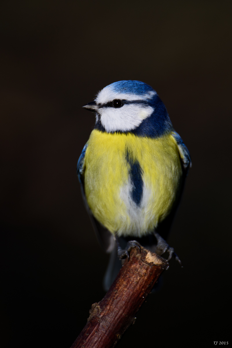 DSC_1722.jpg