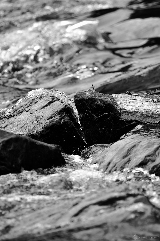16079646448_8a6f110676_c.jpg