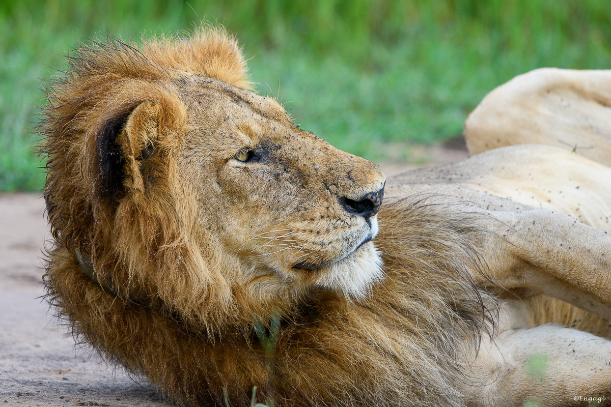 Uganda%200512.jpg