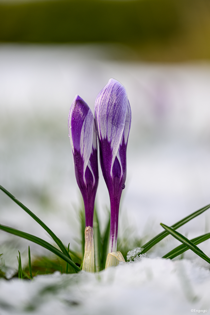 DSC_0846.jpg