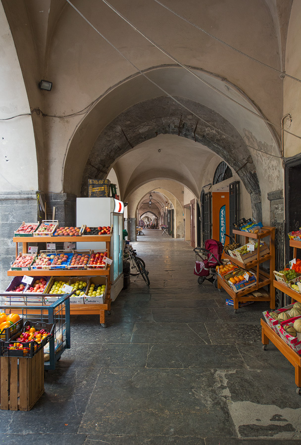 DSC_5723-web.jpg