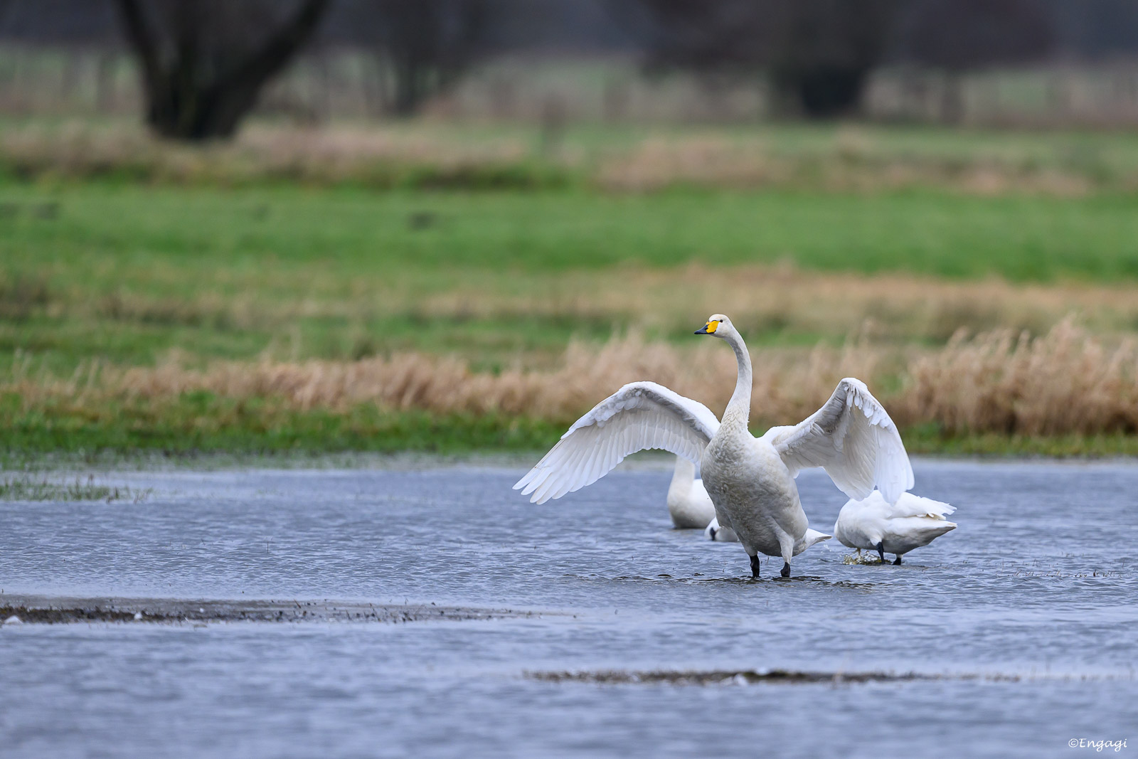 DSC_5417.jpg