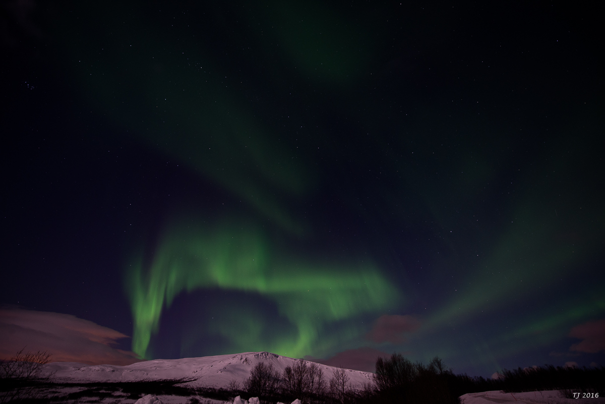 DSC_2620.jpg