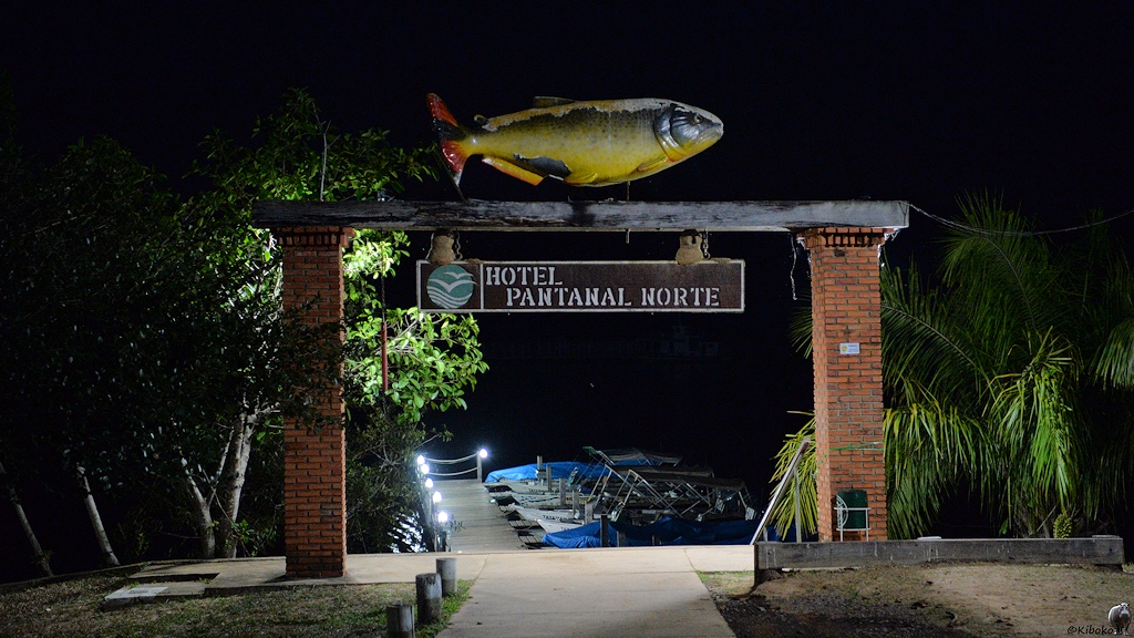 Nachtaufnahme vom Eingangsportal zum Bootanleger. Das Potal ziert ein großer goldener Fisch