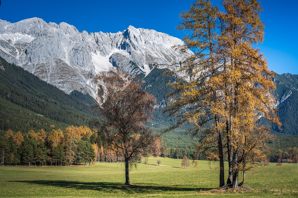 20201114_NZ7_1969NF.jpg
