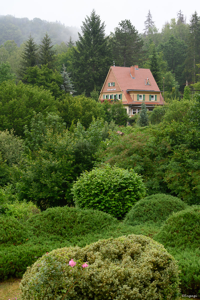 DSC_2196.jpg