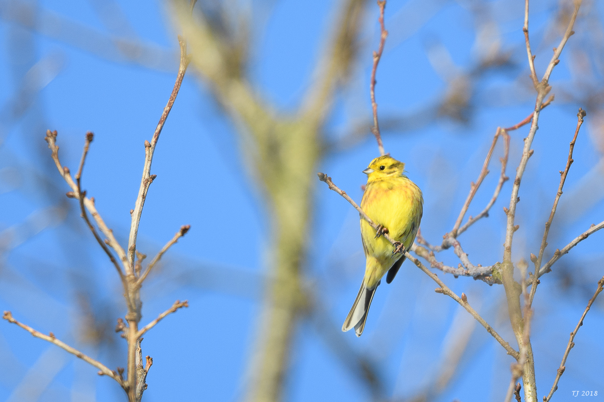 DSC_3516.jpg