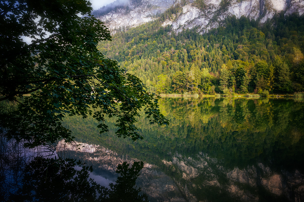 20210922_NZ7_6498vNF.jpg