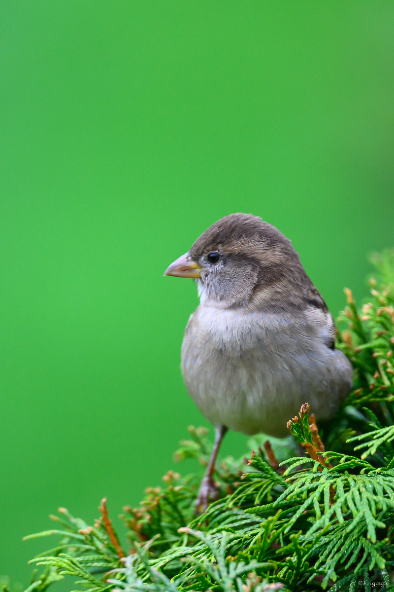 DSC_5313.jpg