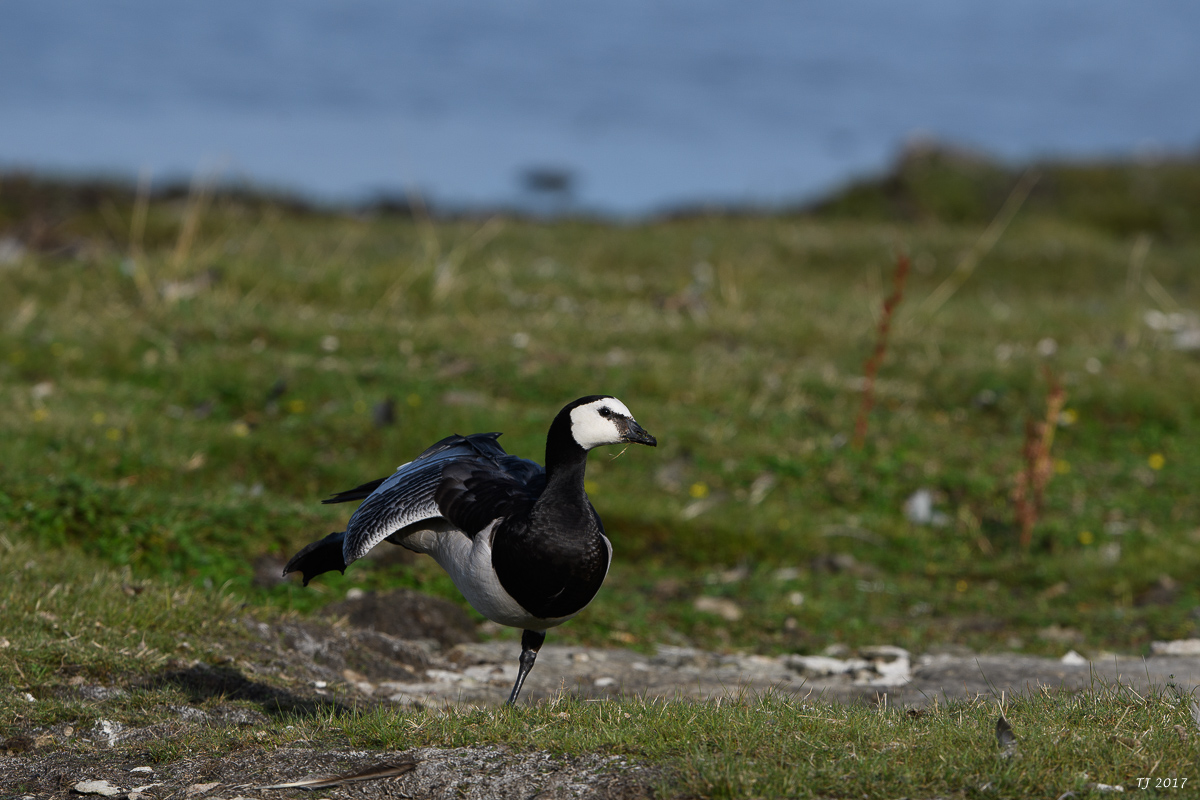 DSC_2491.jpg