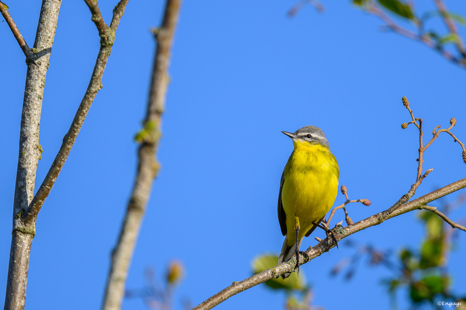 DSC_8422.jpg
