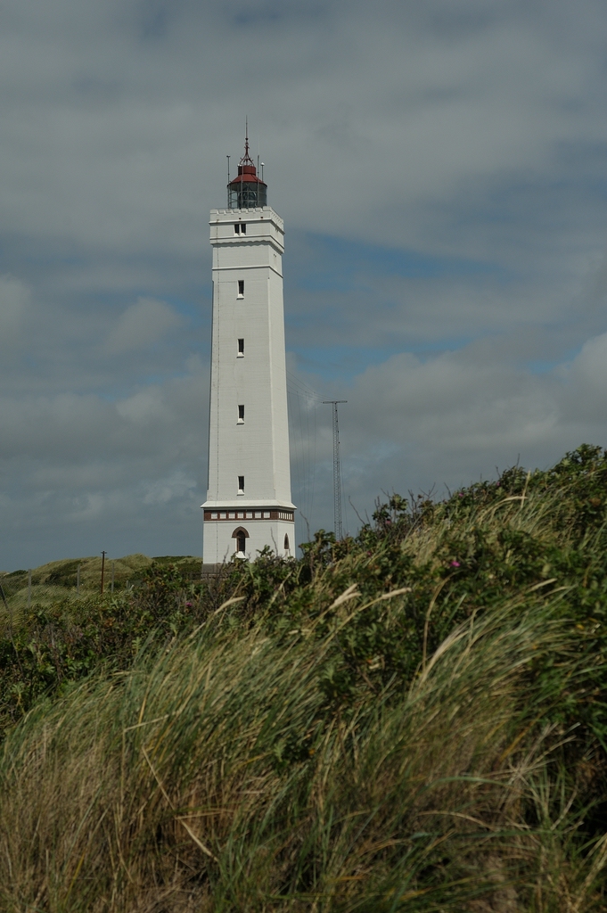cKR_540DSC_3522.jpg