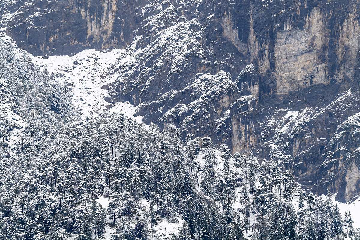 20200926_ND5_3232NF.jpg