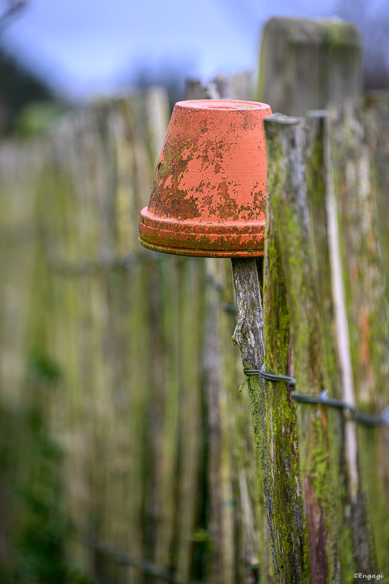 DSC_0814.jpg