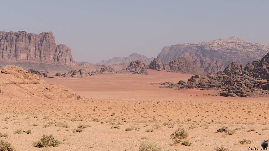 Wüstenlandschaft