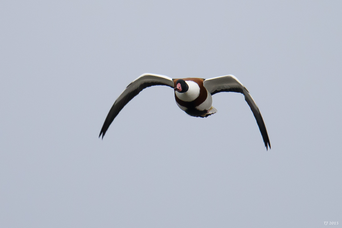 DSC_1476.jpg