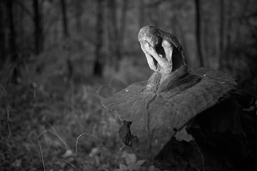 wald3.jpg